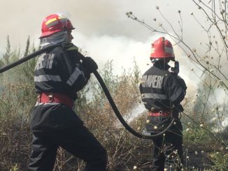 Incendiu de vegetație în Mineri, Tulcea. FOTO ISU Delta