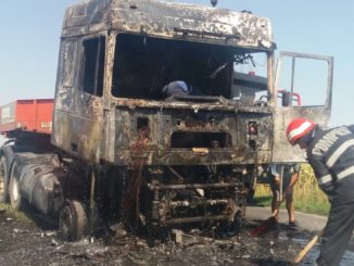 Un camion, mistuit de flăcări la Topolog. FOTO ISU Delta