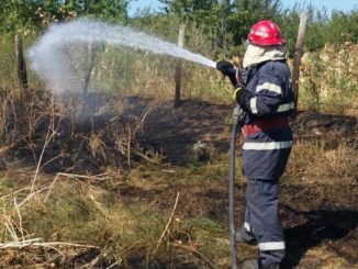 Incendiu de vegetația la Visterna. FOTO ISU Delta