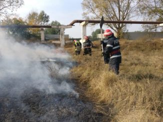 Incendiu de vegetație la Tulcea. FOTO ISU Delta
