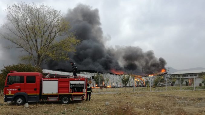 Incendiu masiv în localitatea Greci, Tulcea. FOTO Cătălin Schipor / TLnews.ro