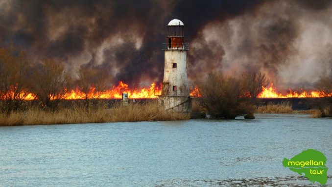 Focul din Sulina scăpat de sub control pârjolește totul în calea sa și a ajuns până la Farul vechi. FOTO Magelan Tour