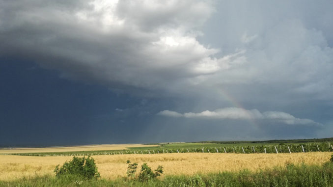 Nori de furtună în județul Tulcea. FOTO Cătălin Schipor