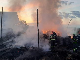 Intervenție de aproximativ 15 ore a pompierilor tulceni pentru salvarea unei ferme de animale. FOTO ISU Tulcea