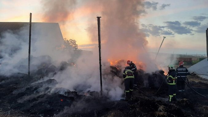 Intervenție de aproximativ 15 ore a pompierilor tulceni pentru salvarea unei ferme de animale. FOTO ISU Tulcea