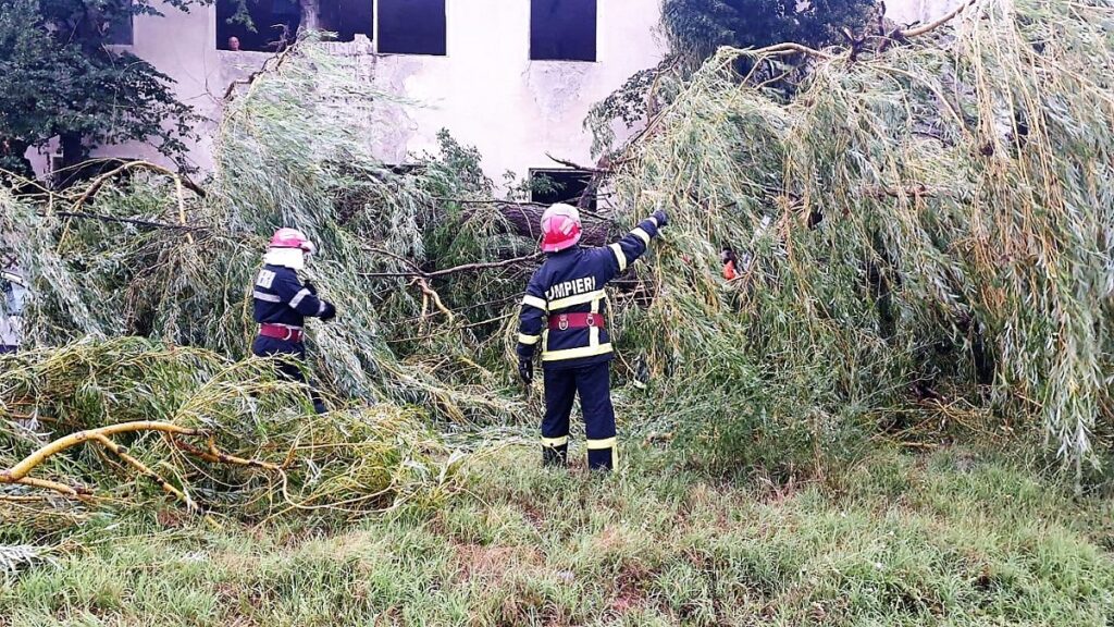 Pompierii tulceni au fost solicitați să intervină în nouă situații de urgență. FOTO ISU Tulcea