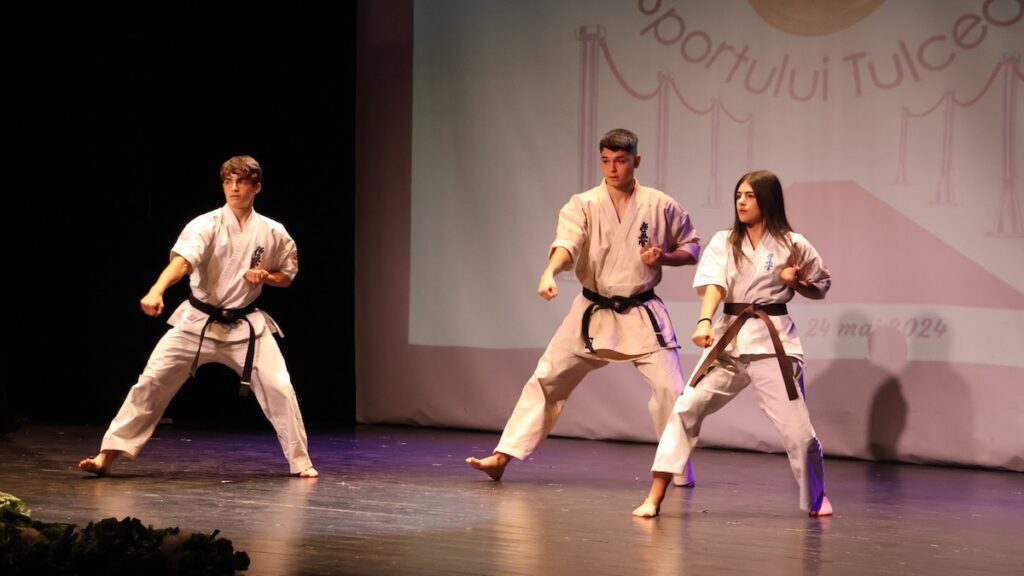 Gala Sportului Tulcean. FOTO CJ Tulcea