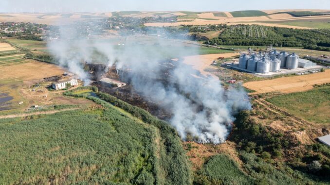 Incendiu lan de grâu la Malcoci. FOTO ISU Delta