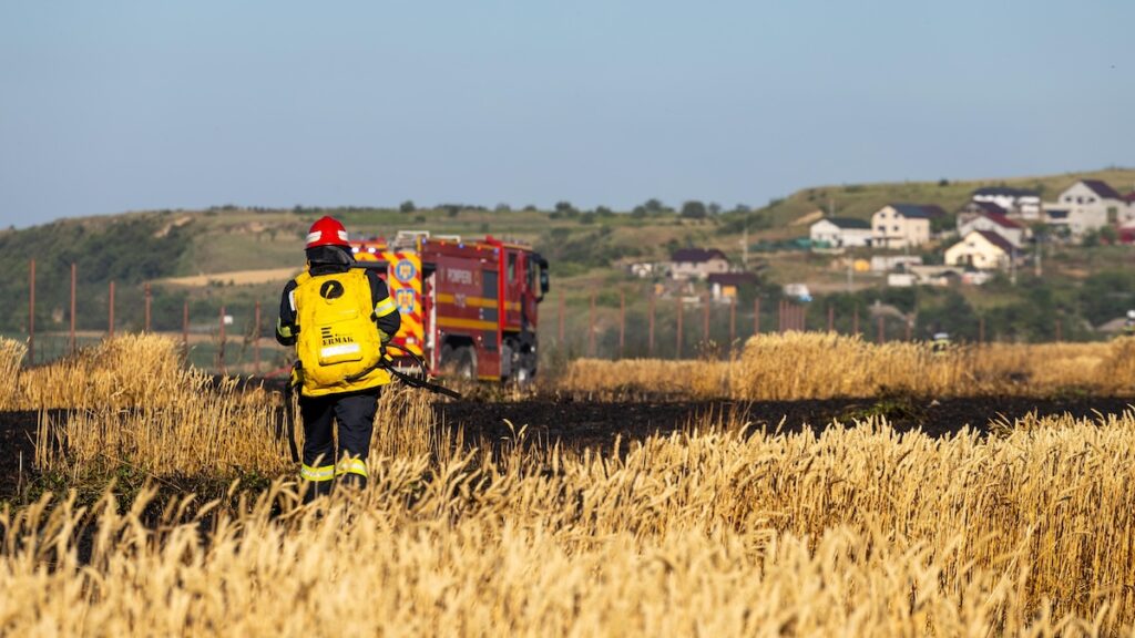 Incendiu lan de grâu la Malcoci. FOTO ISU Delta
