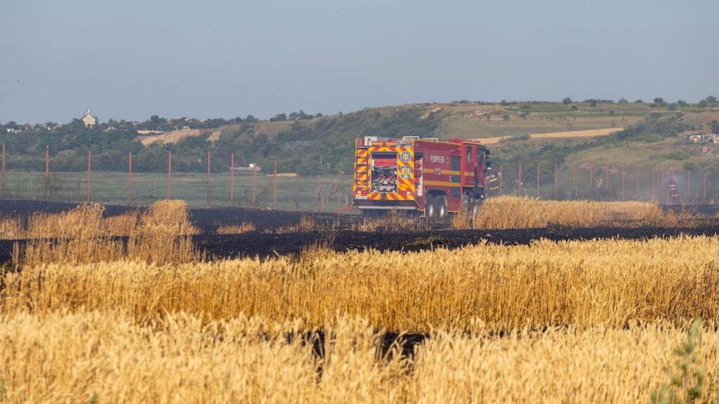 Incendiu lan de grâu la Malcoci. FOTO ISU Delta