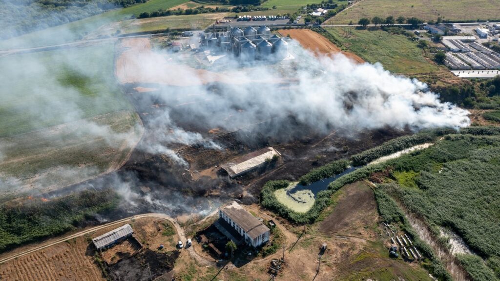 Incendiu lan de grâu la Malcoci. FOTO ISU Delta